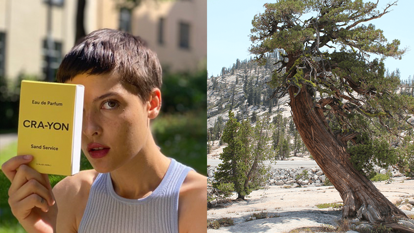 Model with CRA-YON Sand Service perfume held up to face, paired with a rugged windswept tree in nature.