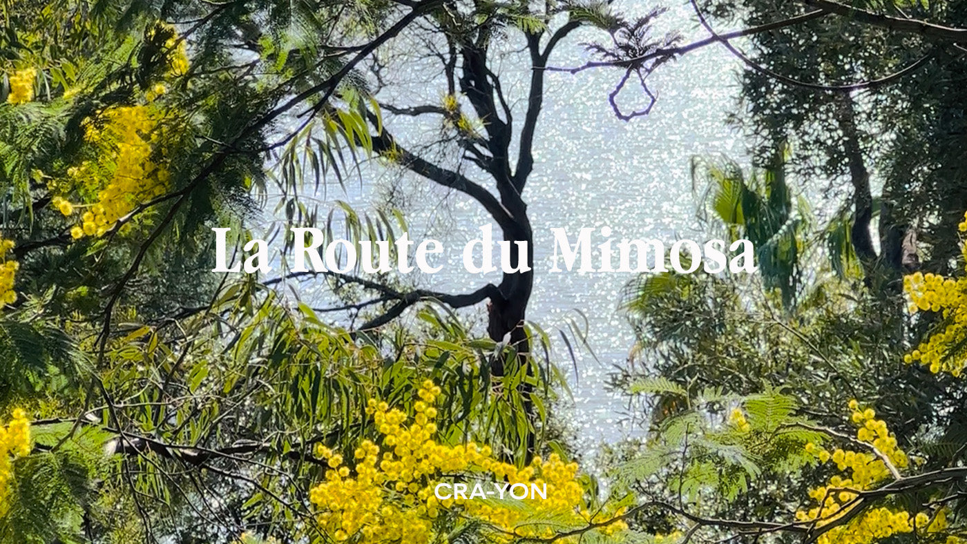 Sunlit view through trees and yellow mimosa flowers with text 'La Route du Mimosa' – CRA-YON fragrance inspiration