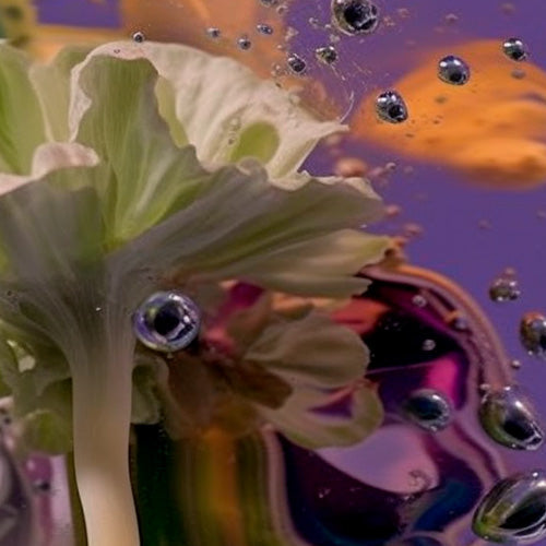 Chypre Fragrances by CRA-YON Parfums