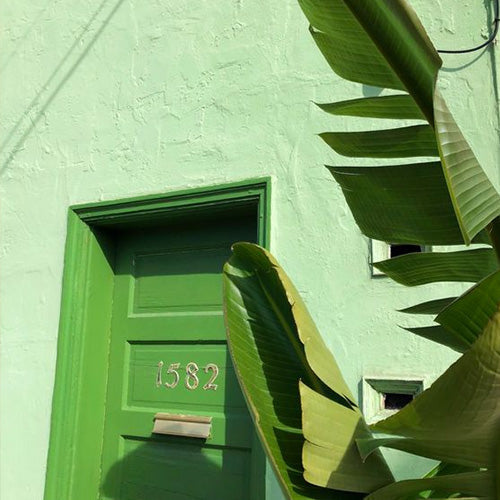 Green herbal fragrances by CRA-YON Parfums